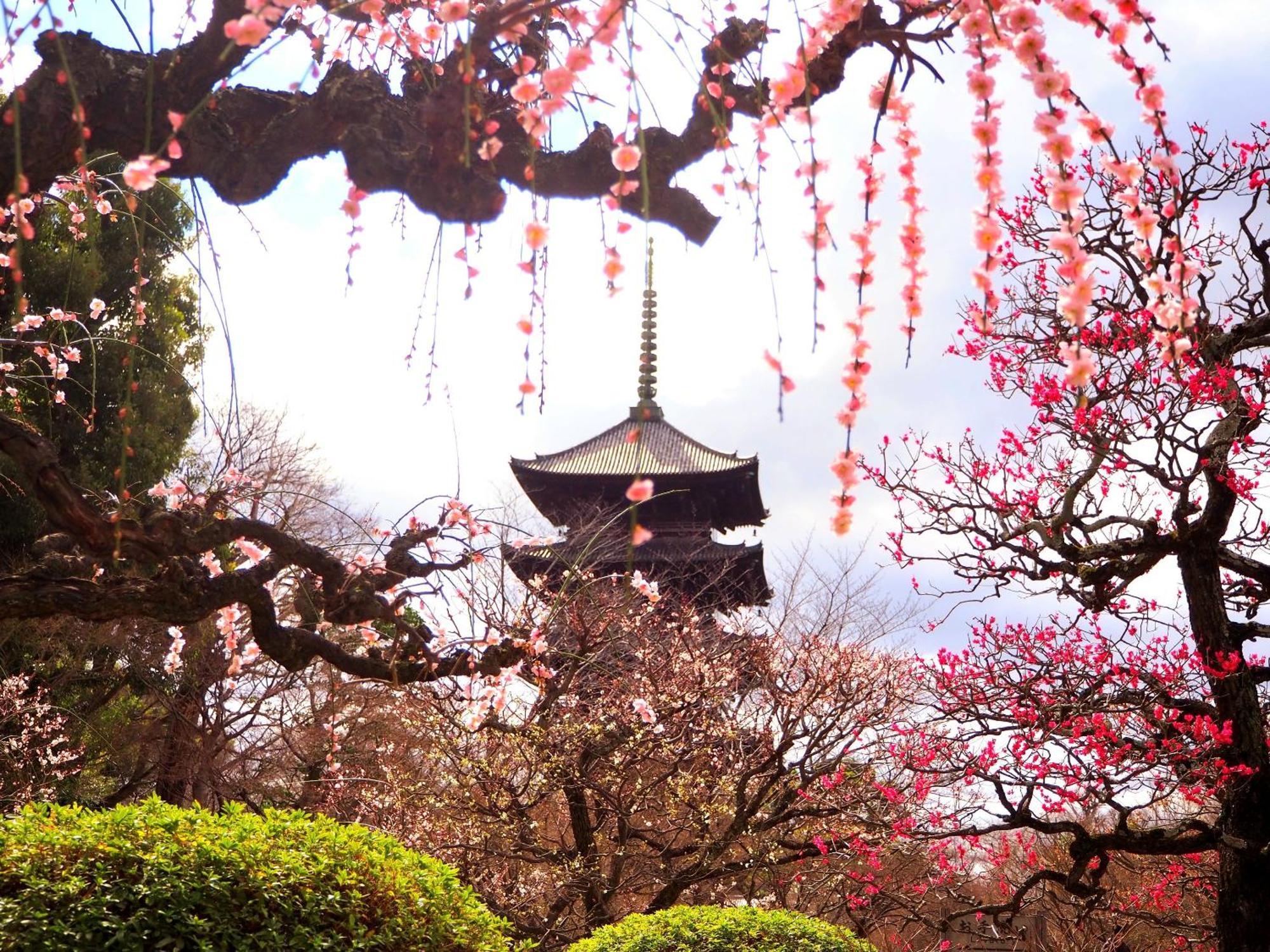 Stay Sakura Kyoto Higashi Hongan-Ji I Extérieur photo
