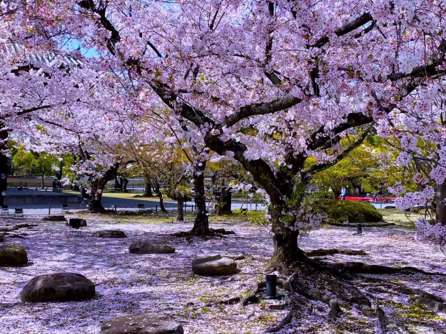 Stay Sakura Kyoto Higashi Hongan-Ji I Extérieur photo